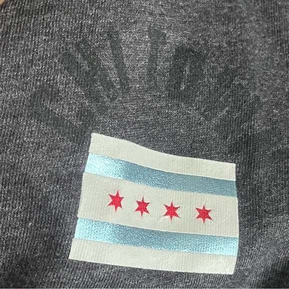 Victoria's Secret Small Pink Chicago Silver Sequin LS Gray Top Chi Town Pullover - Picture 6 of 10